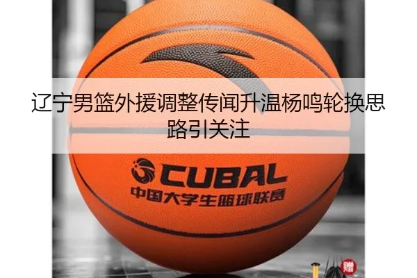 辽宁男篮外援调整传闻升温杨鸣轮换思路引关注