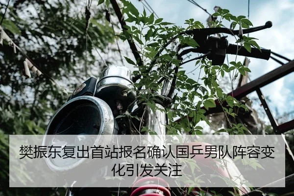 樊振东复出首站报名确认国乒男队阵容变化引发关注